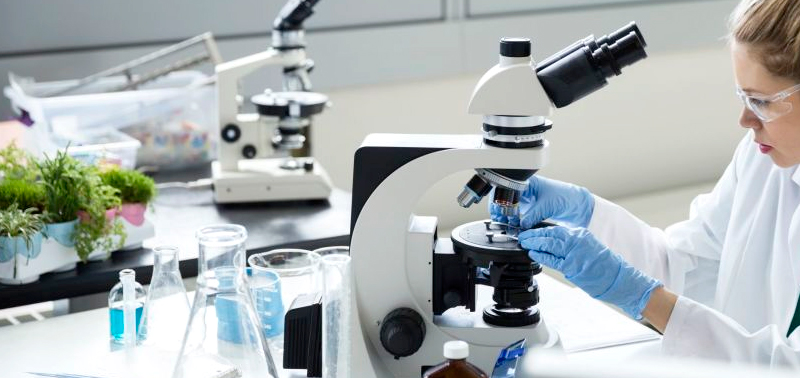 Investigadora trabajando Investigadora trabajando